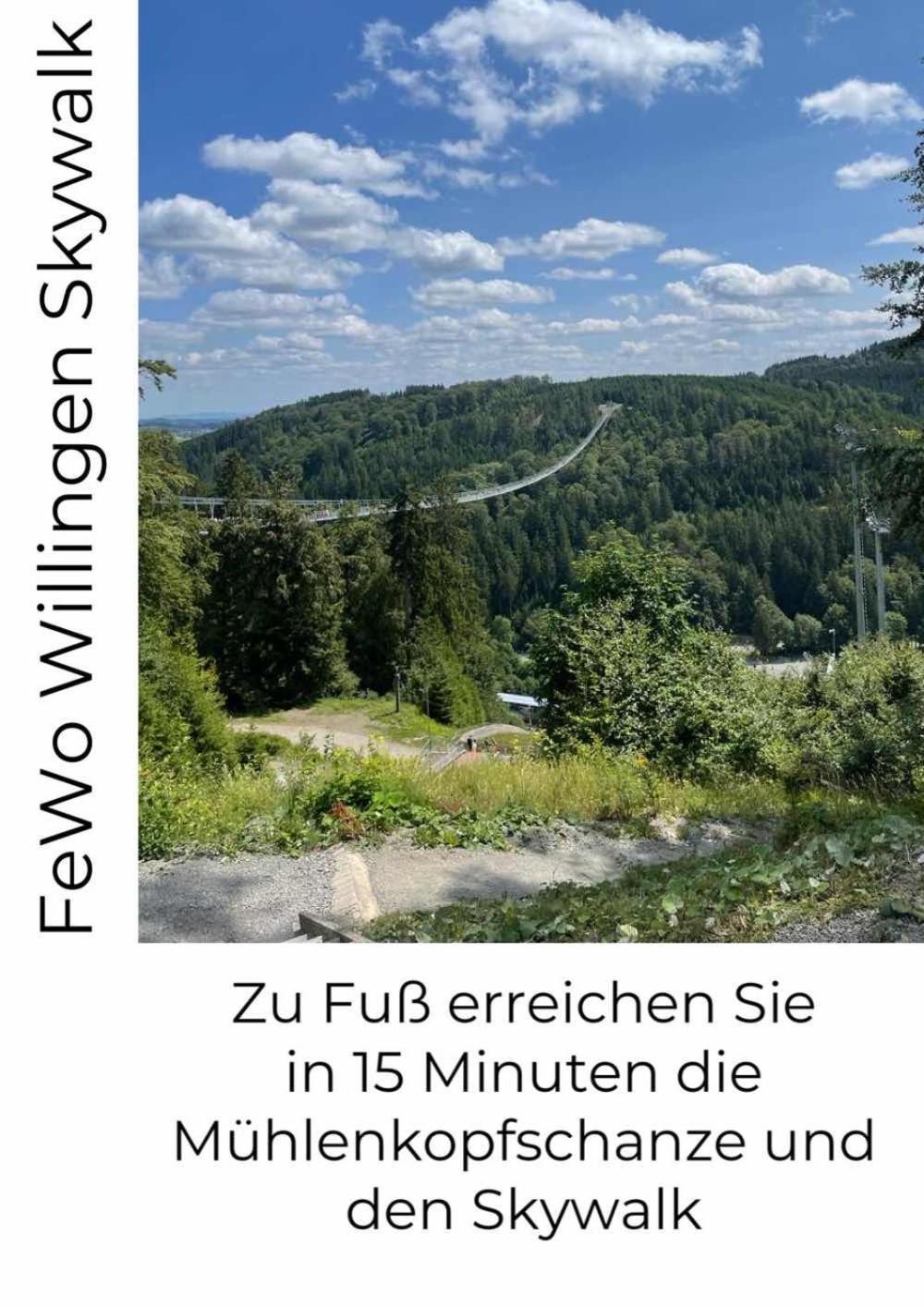 Fewo Skywalk Willingen Stryck المظهر الخارجي الصورة